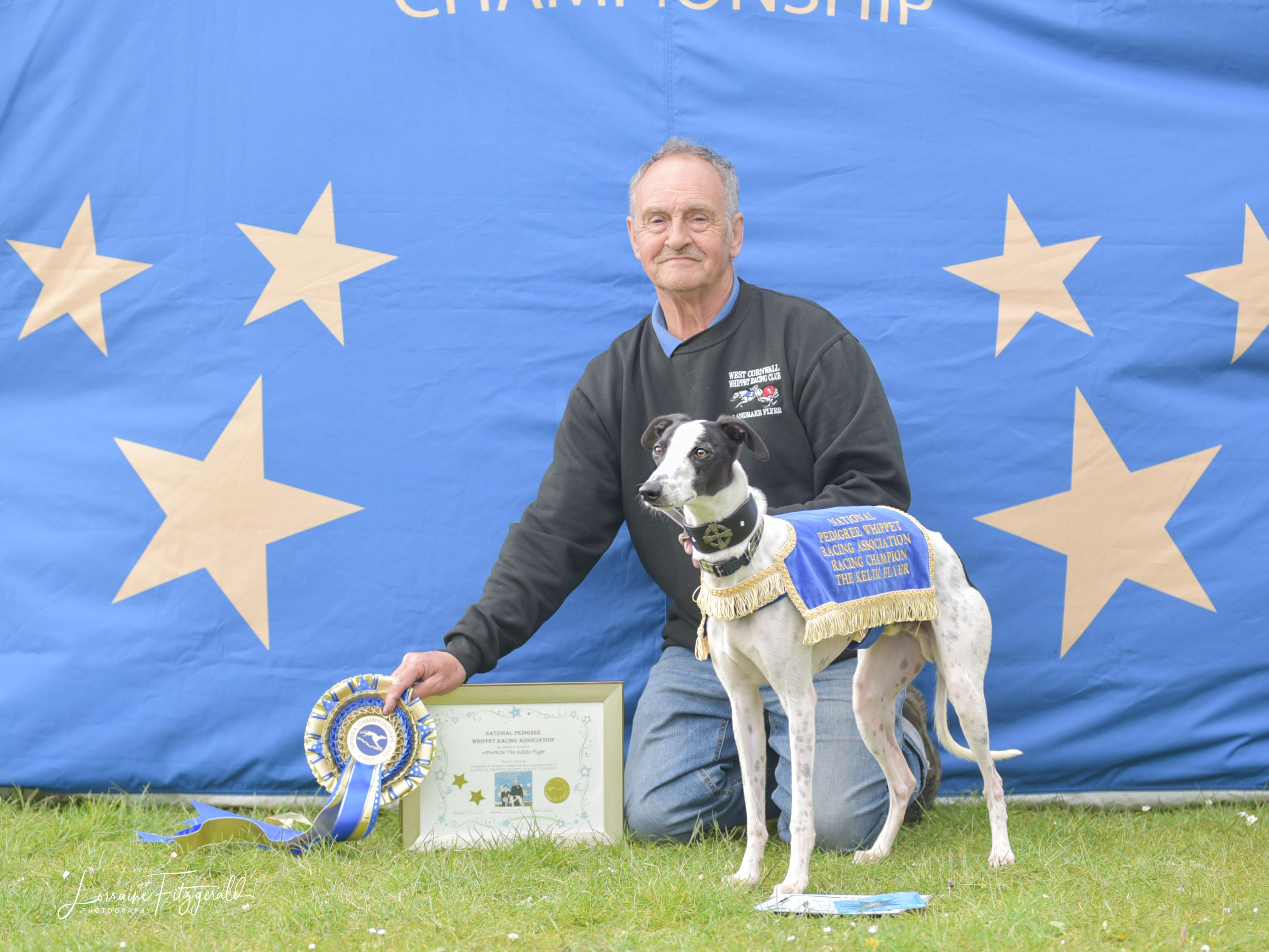 Whippet fashion racing